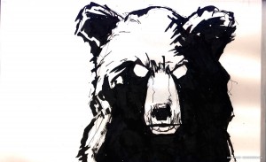 BULL vs. BEAR SKETCHBOOK by Matt 'Iron-Cow' Cauley "Bear Portrait"
