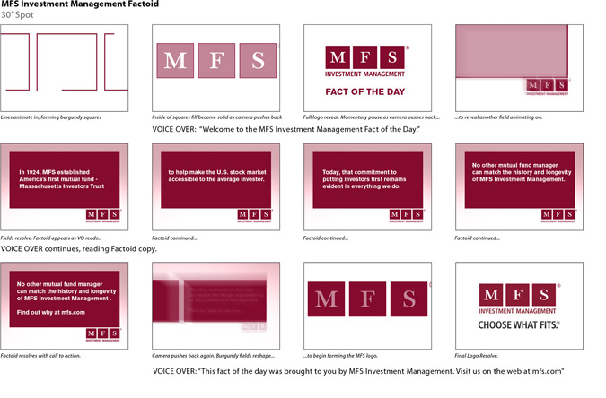 MFS Investment Storyboard