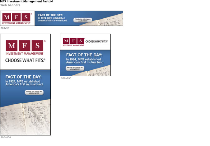 MFS Investment Storyboard 2