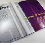 BNEF Company Overview 8
