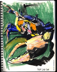 THE RANDOM SKETCHBOOK by Matt 'Iron-Cow' Cauley - "Crabbie Crab"