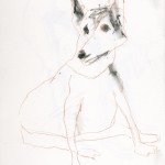 Charcoal Works: Dog