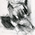 Charcoal Works: Dog 2