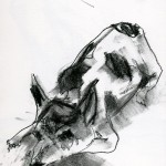 Charcoal Works: Dog 3